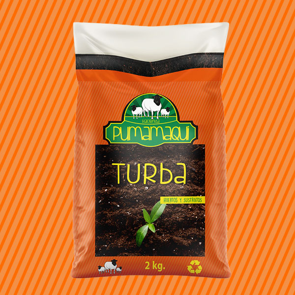 Turba