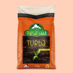 Turba