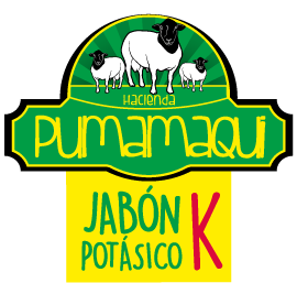 Logo Pumamaqui